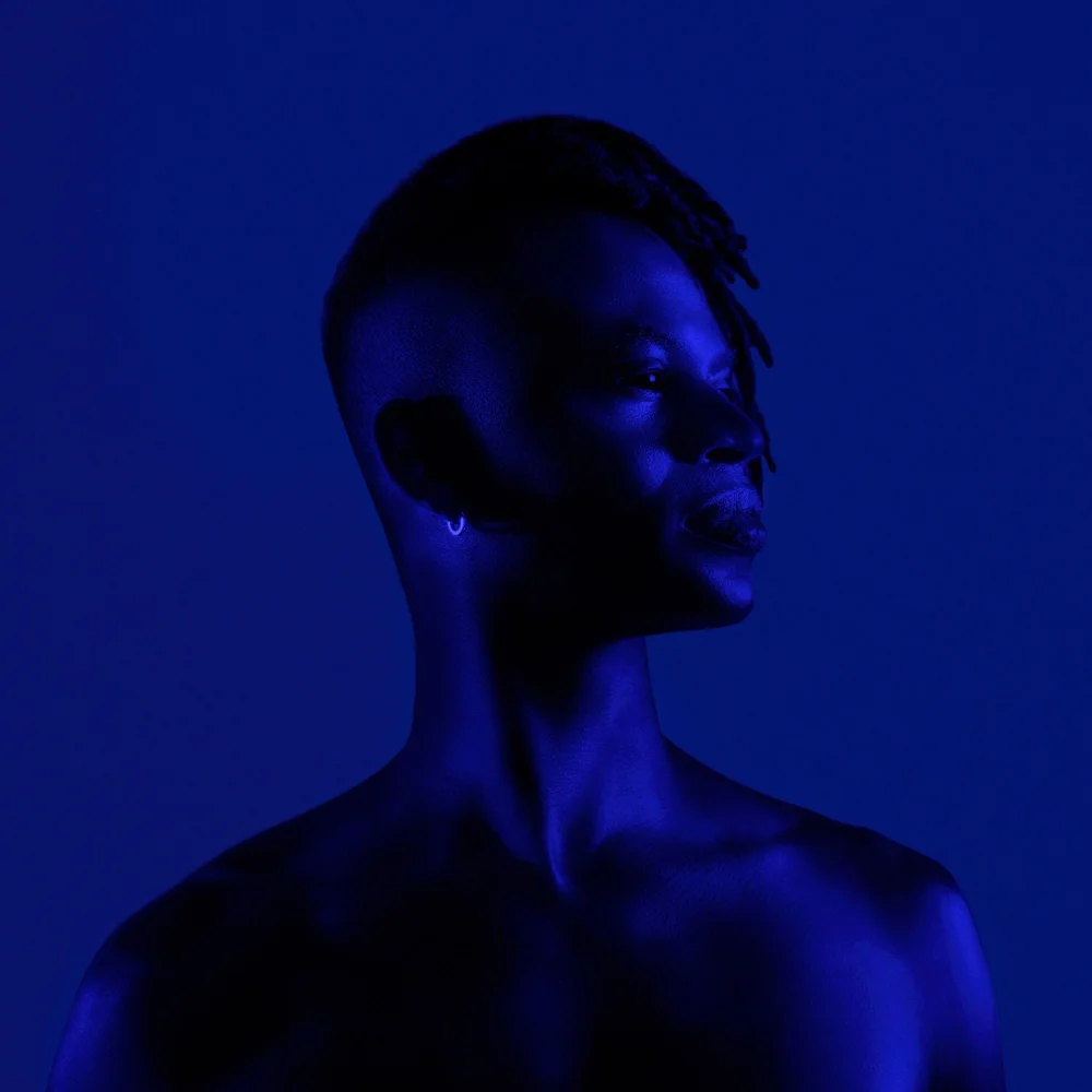 Wayne Snow — album artwork, figure in profile lit in deep blue